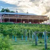 The Vineyard & Brewery at Hershey