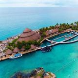 Delphinus Xcaret