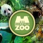 Memphis Zoo