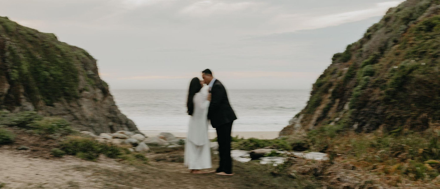 The Wedding Website of Viviana Olmos and Michael Camarena