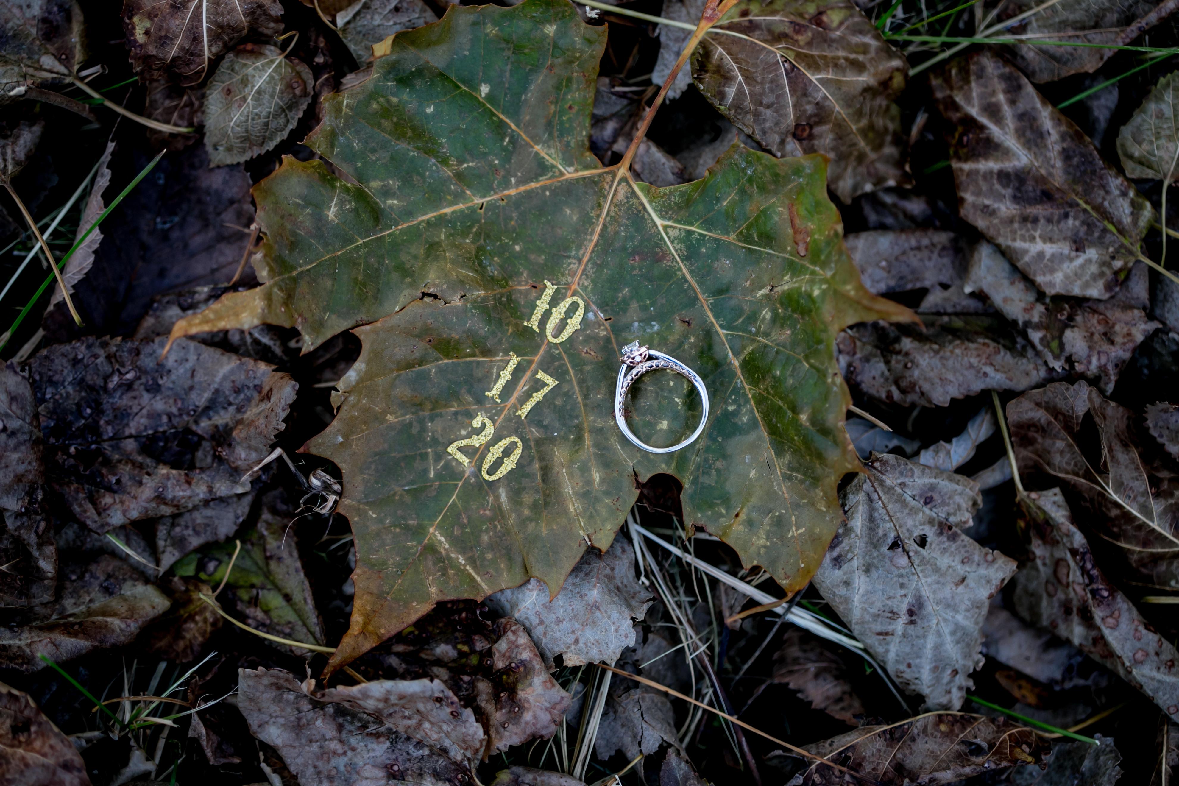 The Wedding Website of Shelby Dunwoody and Andrew Upah