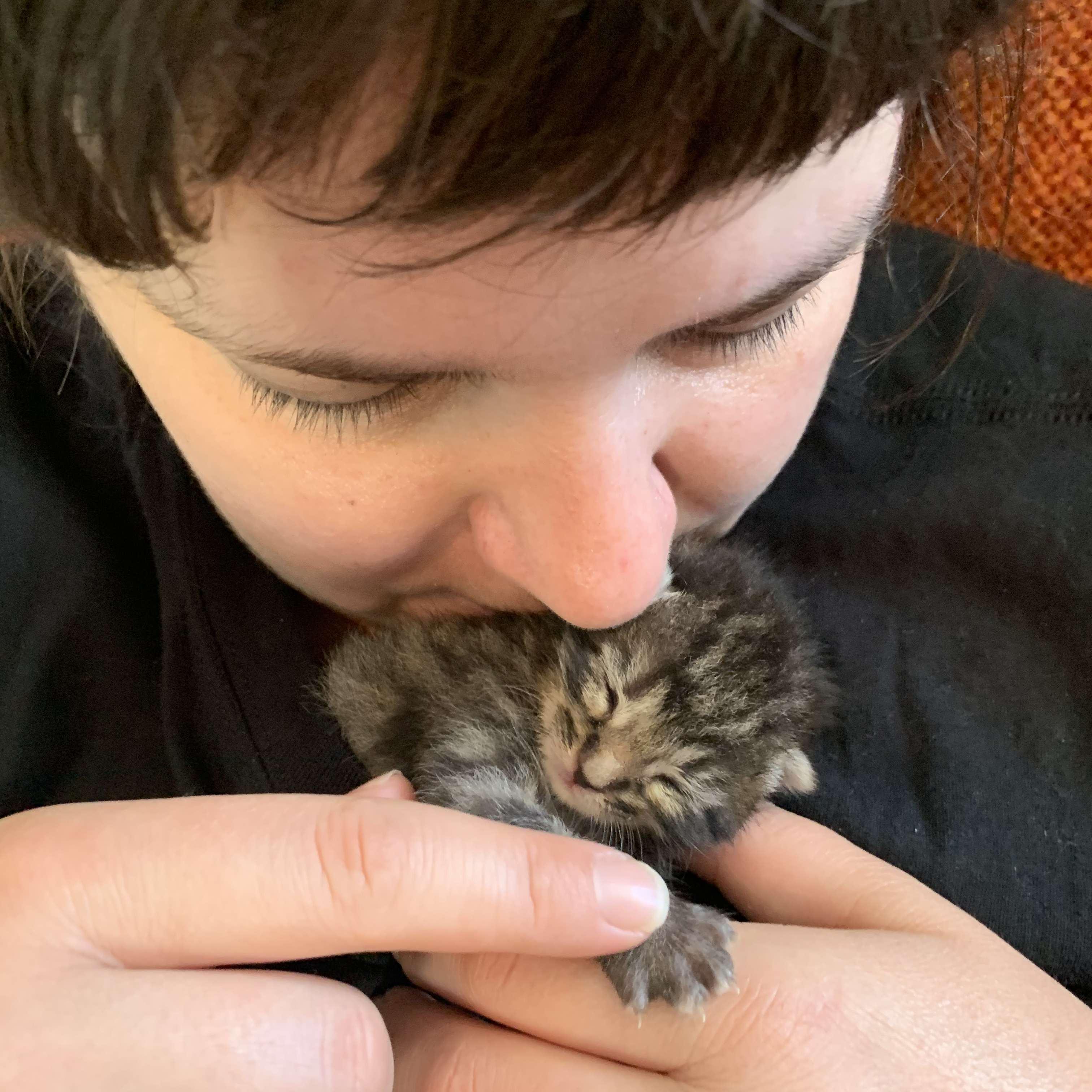 One of our fur-children 3 days old. 
