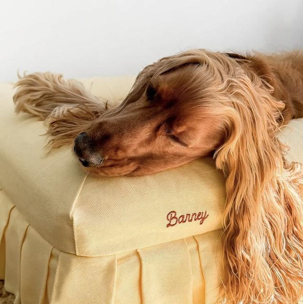 Barney Bed