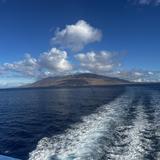 Molokini Snorkeling Tours
