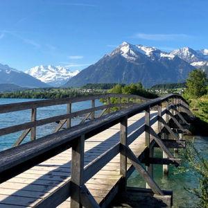 Umzug id Schwiiz / Back to Switzerland Fund