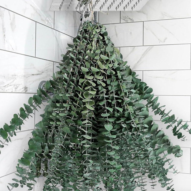 Andekas 25PCS Real Dried Eucalyptus Stems for Shower Hanging, 17'' Large Preserved Eucalyptus Shower Plants Shower Stuff for Shower Decor, Fresh Eucalyptus Leaves, Fragrance, Bathroom Vase Decor