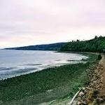 Carkeek Park