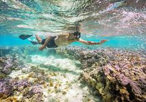 Snorkeling at Hanauma Bay