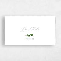 Blue Wedding Place Card - Springboro