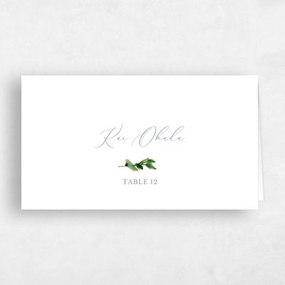 Blue Bordered Wedding Place Card - Springboro