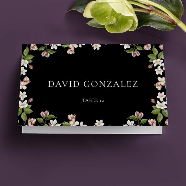 Zola Wedding Place Cards - Malyly