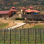 Las Nubes Bodegas y Viñedos