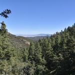 Spruce Mountain