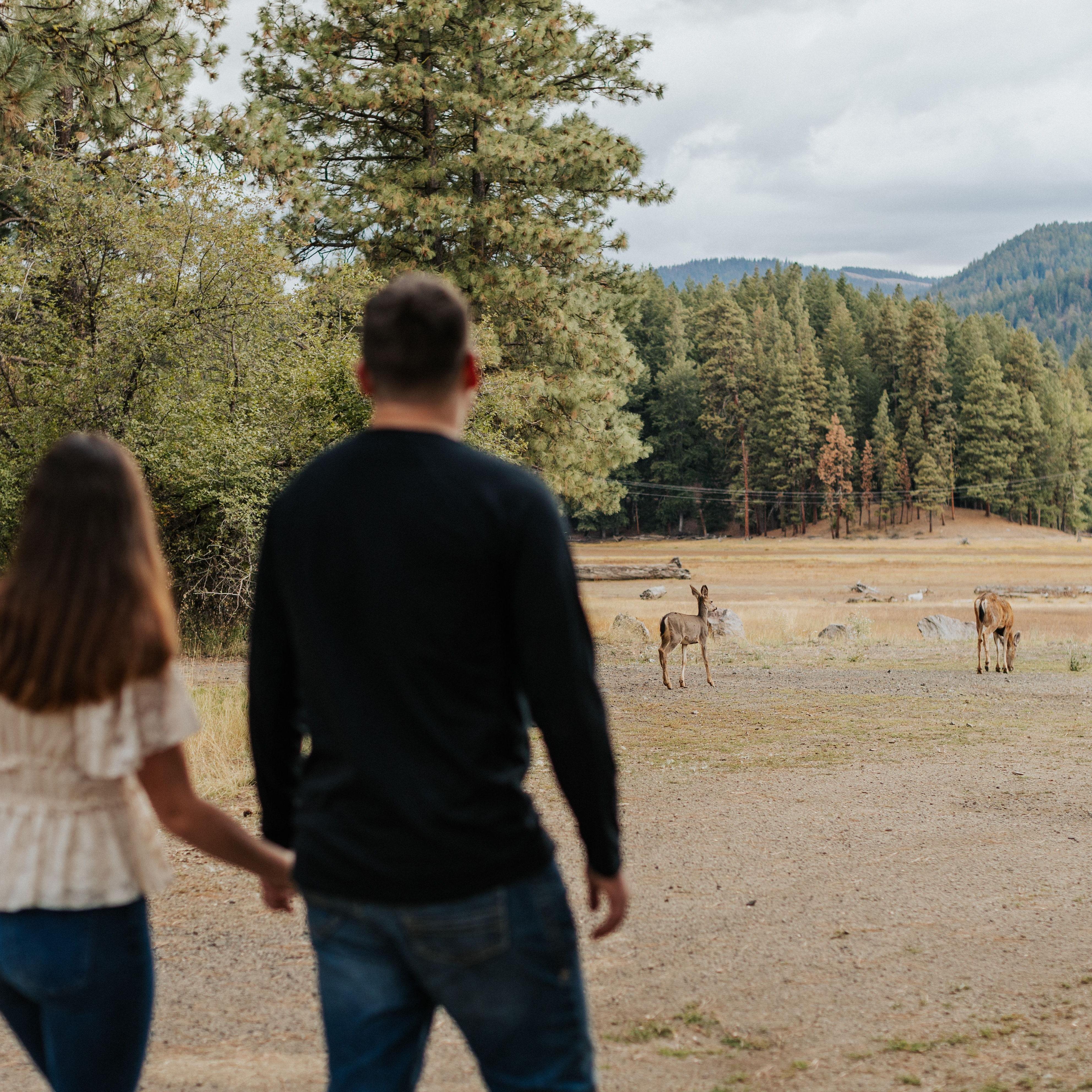 A family of deer wanted to crash our session!