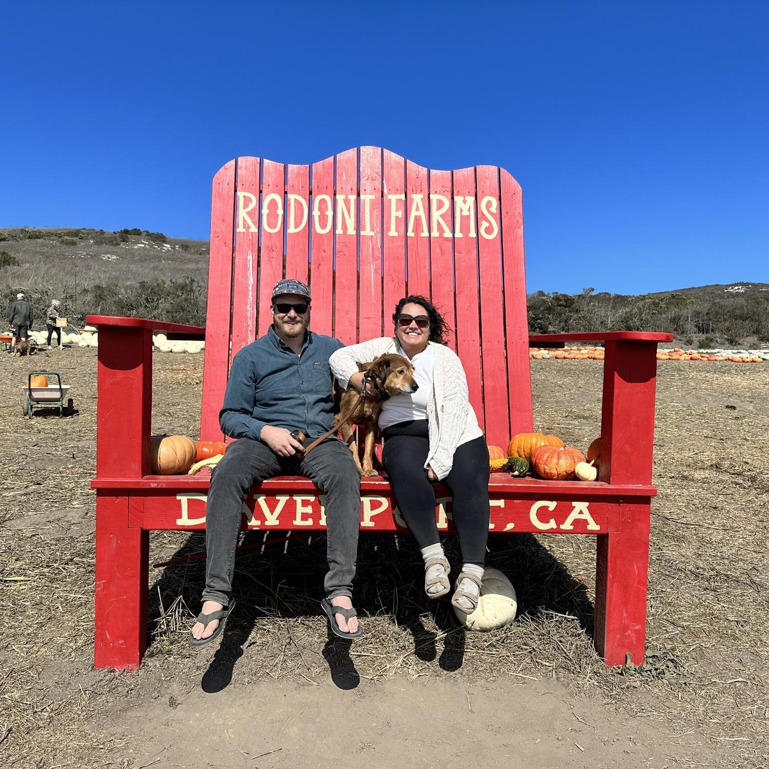 Pumpkin picking at Rodoni Farms | October 2022 in Santa Cruz, CA