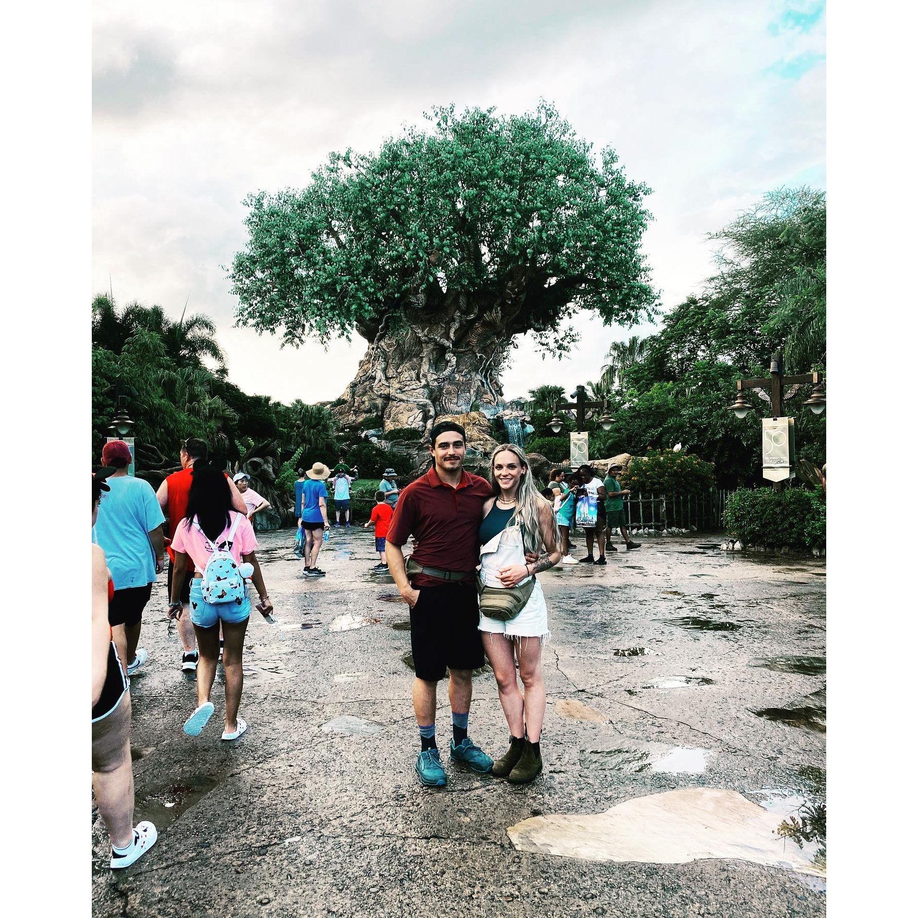 Animal Kingdom, July 2022.