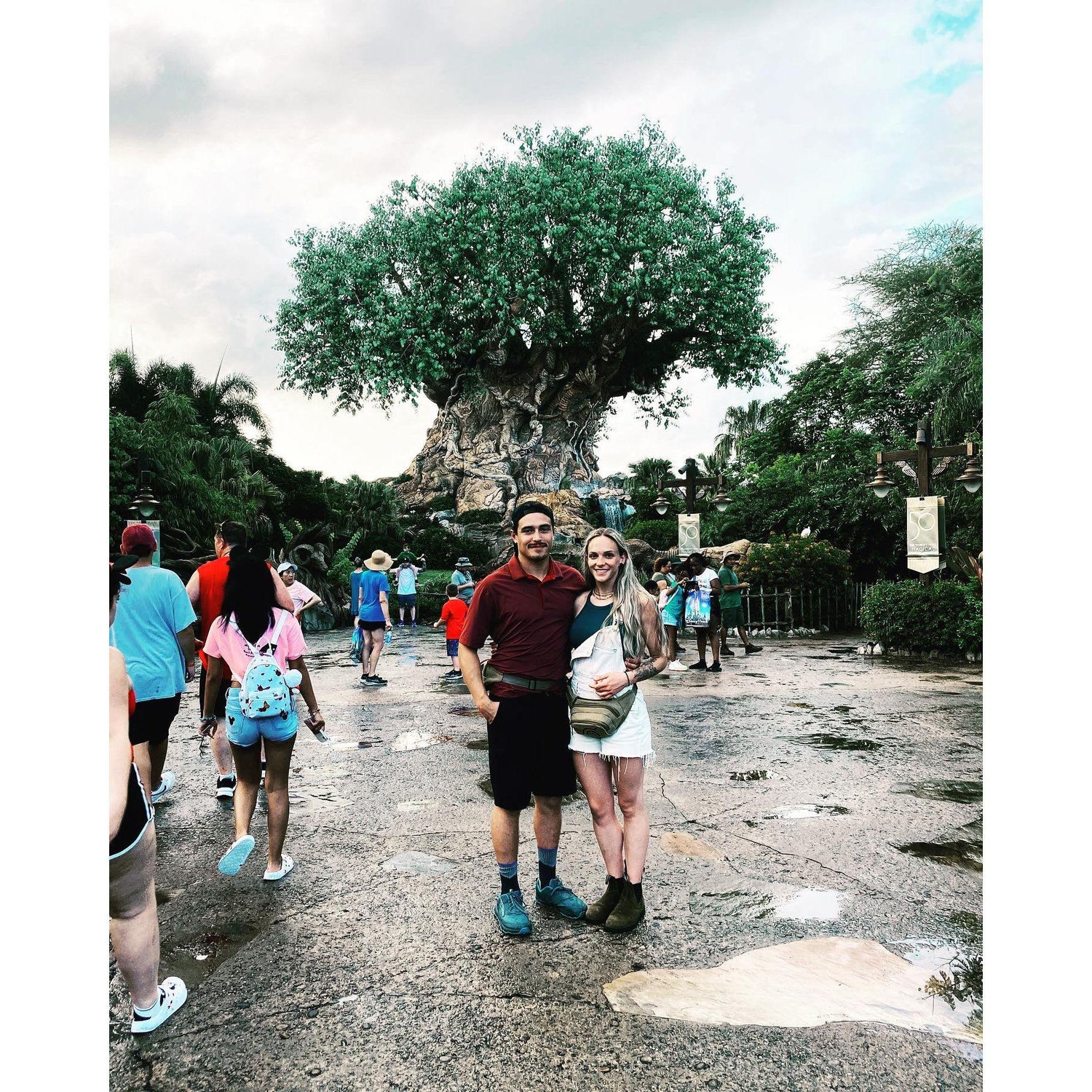 Animal Kingdom, July 2022.