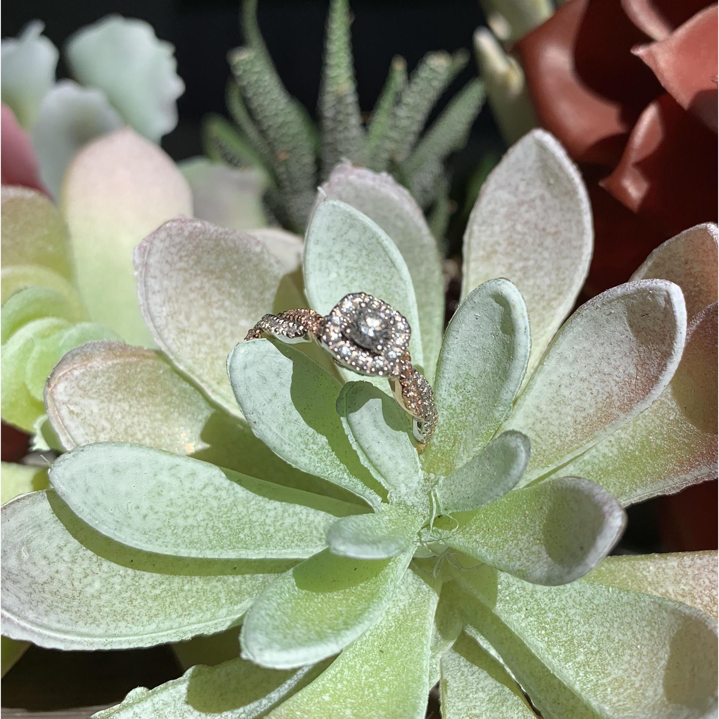 Just another ring photo!