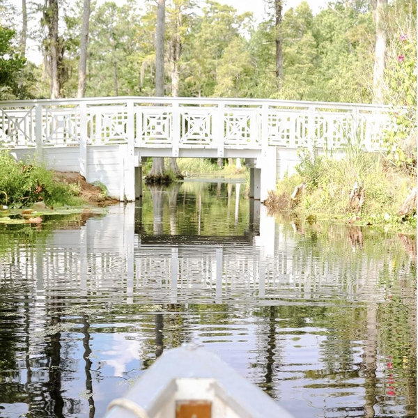 Honeymoon Photos at Cypress Gardens