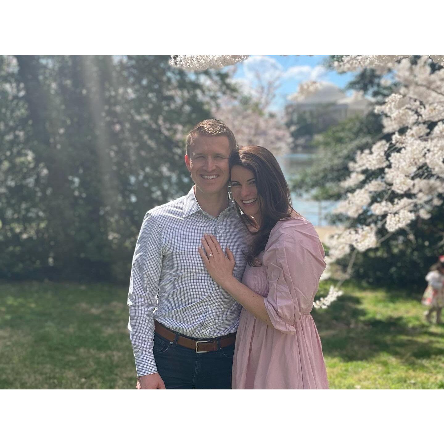 Katie loves dragging Luke around to the cherry blossoms every year.