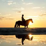 Parco Della Maremma Horseback Riding