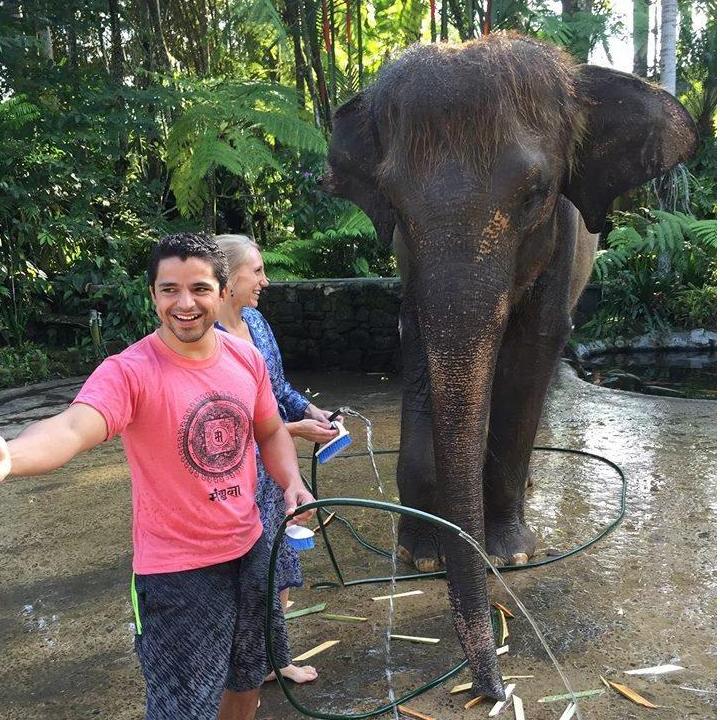 Bathing an elephant. Bali