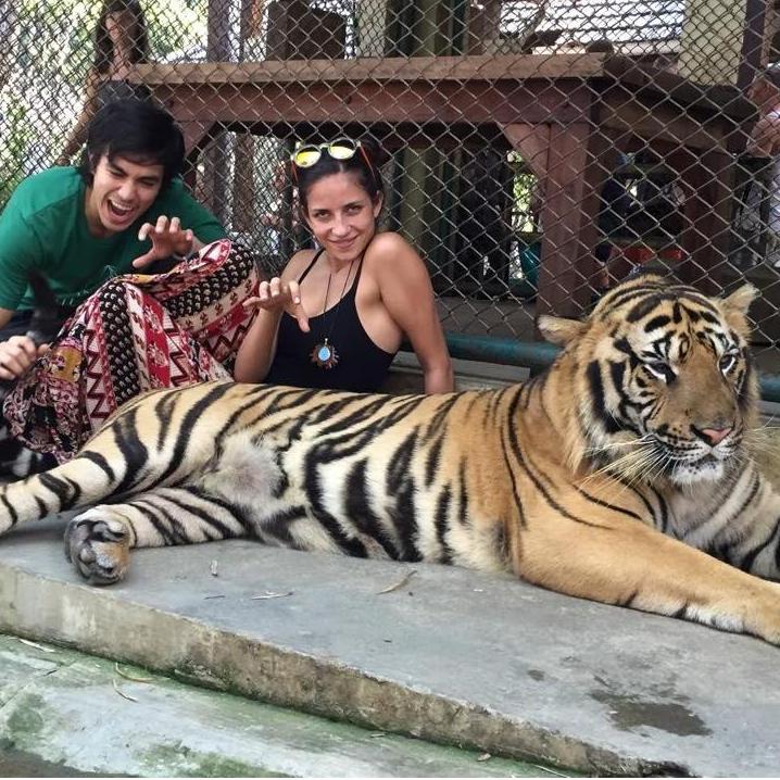 rawr, tiger sanctuary in Thailand