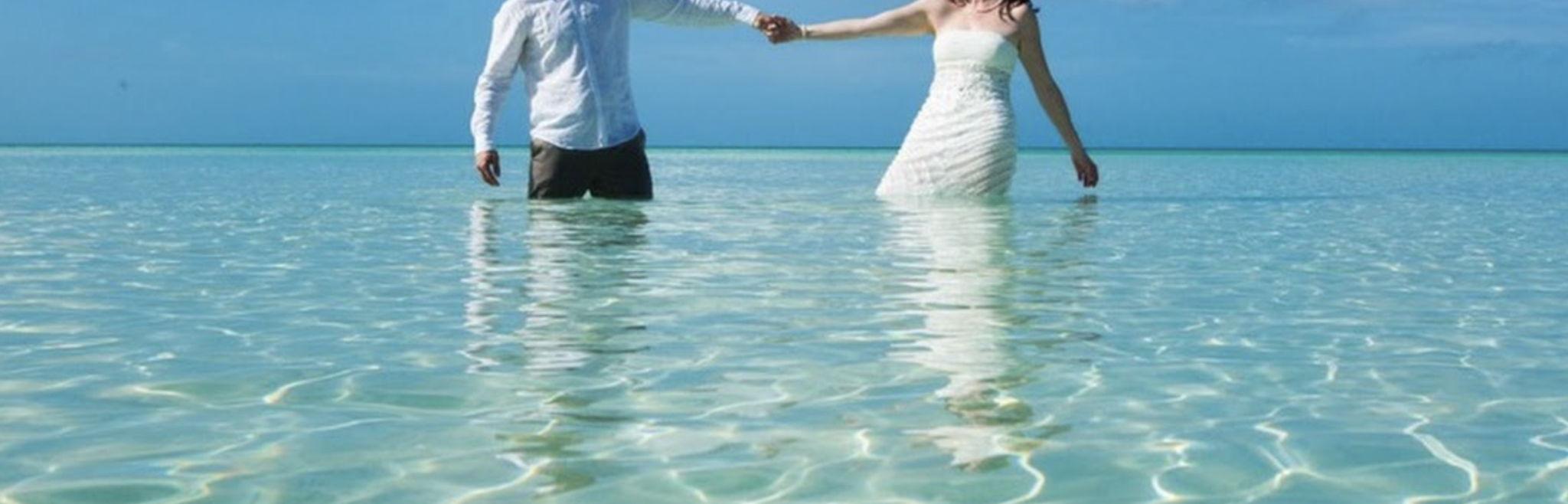 The Wedding Website of Amarillys Lopez and Christopher Ogilvie