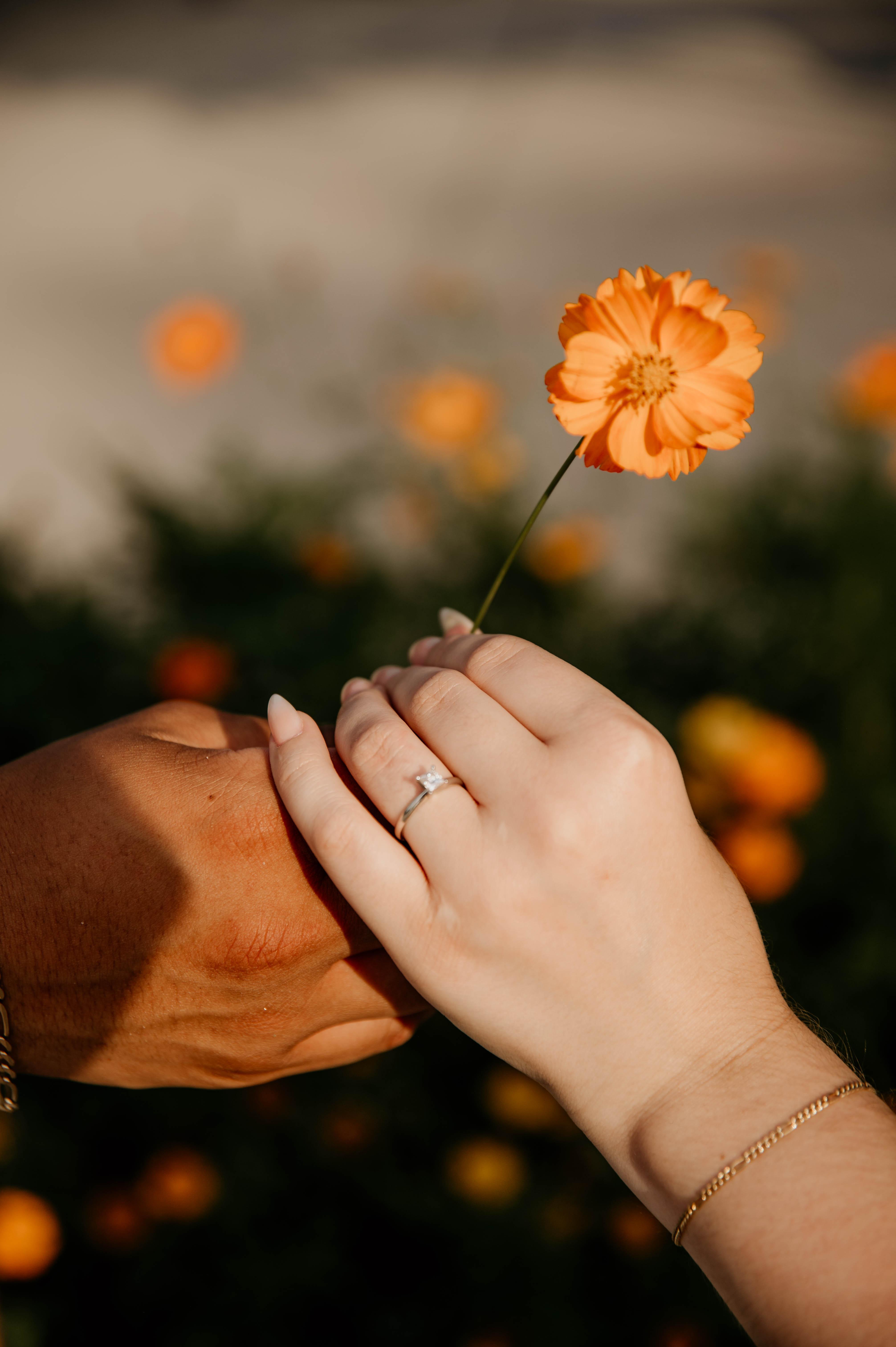The Wedding Website of Rebecca Staley and Shane Ozuna