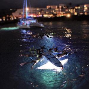 Night Snorkel with Manta Rays