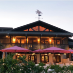 The Pink Elephant
