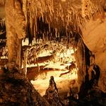 Mammoth Cave National Park