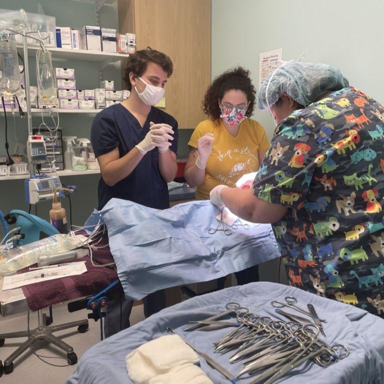 Our first surgery together