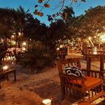 Loyal Order Tulum