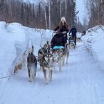 AK Sled Dog Tours
