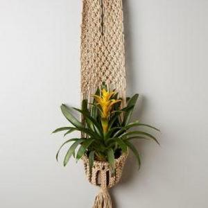 Macrame Plant Hanger
