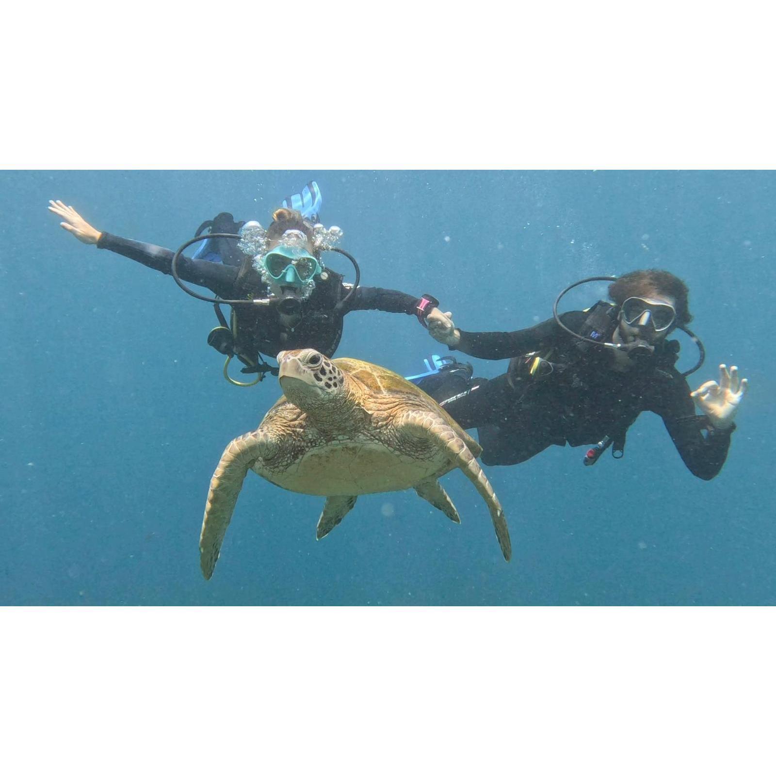 Compartiendo aficiones (alguna tortuga tenía que salir)