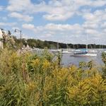 Lake Harriet