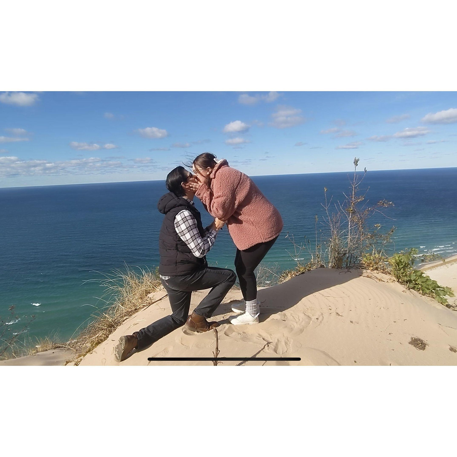 Proposal in Michigan
