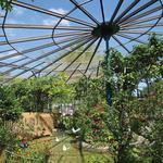 Butterfly World