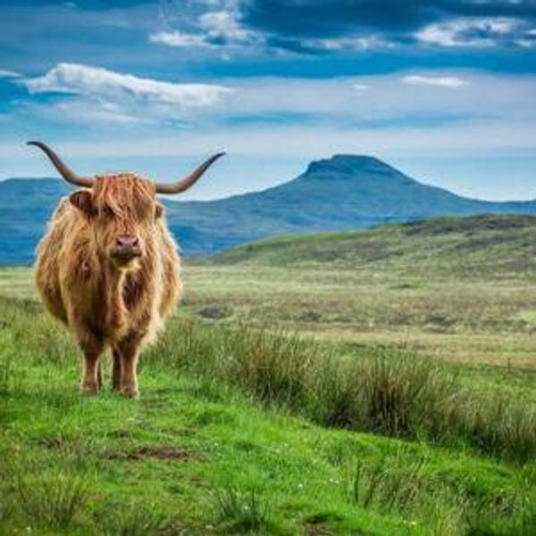 Isle of Skye Guided Tour