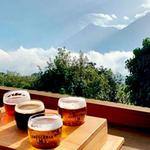 Cerveceria 14