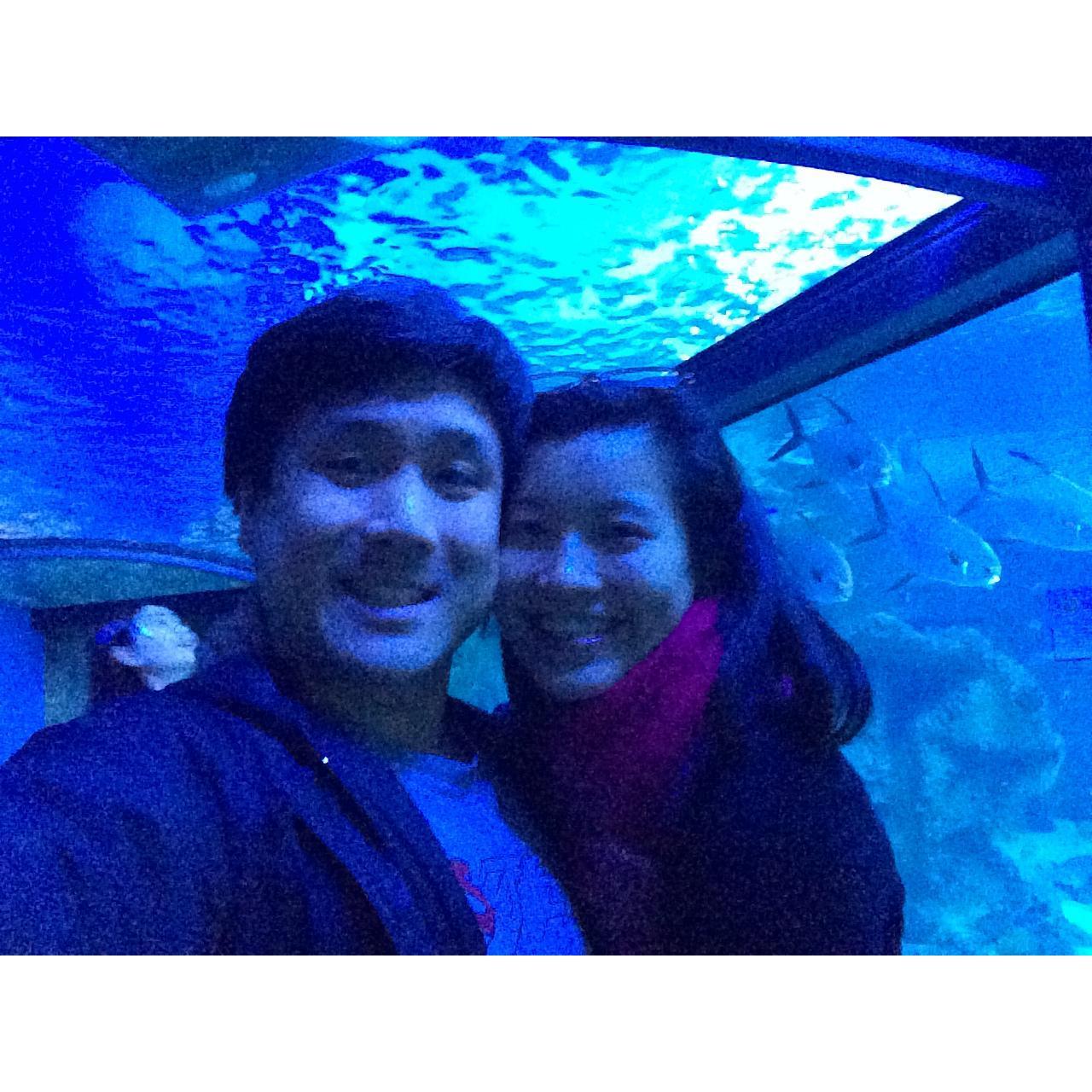 2014, Sea Life Sydney Aquarium