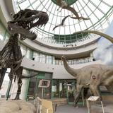 North Carolina Museum of Natural Sciences