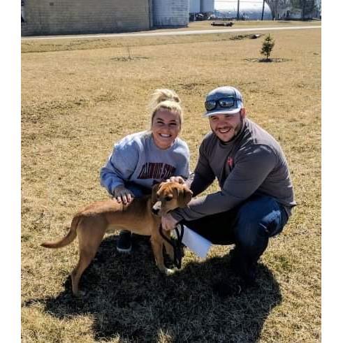 We became dog parents in March!