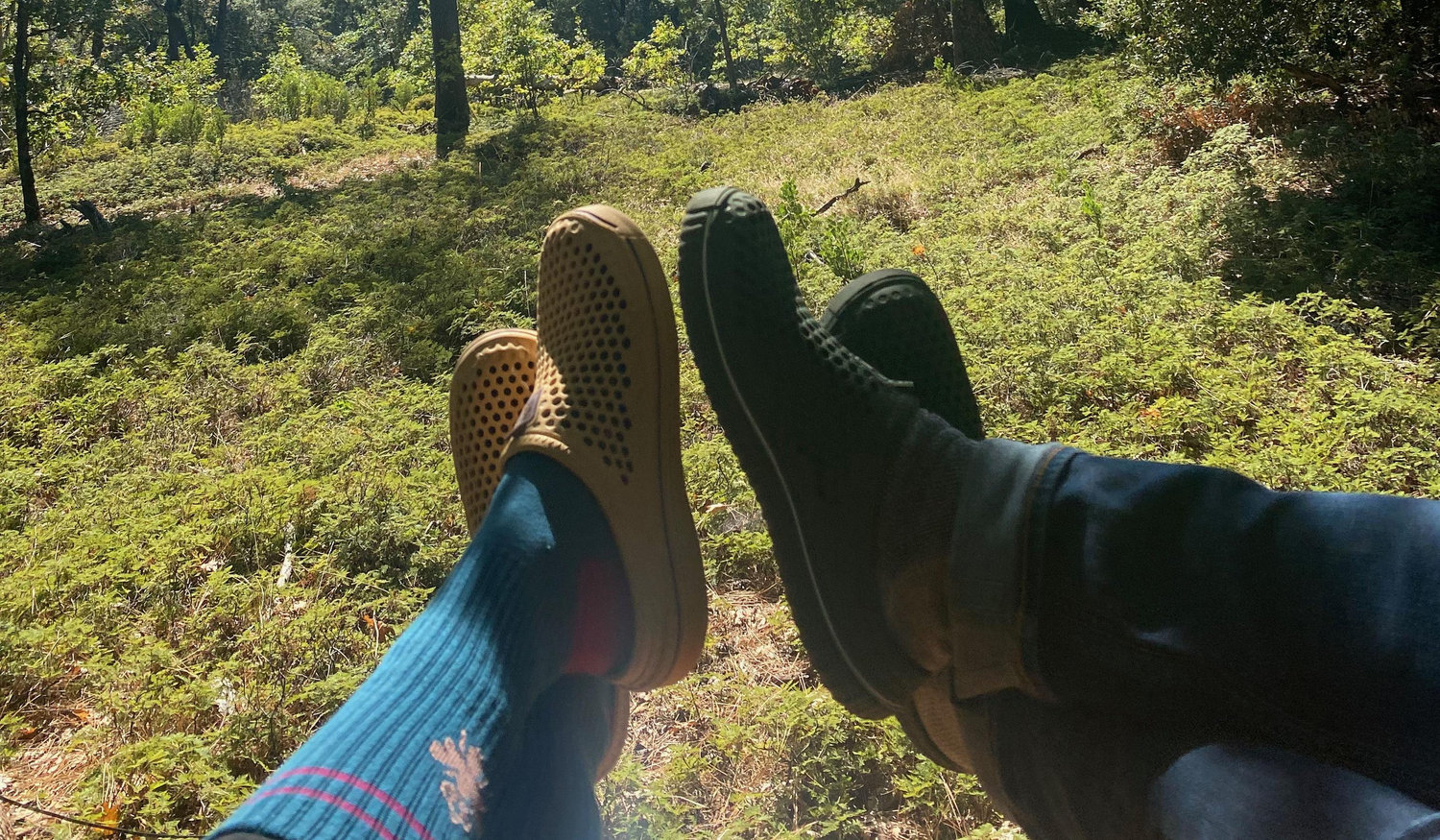 Footer image