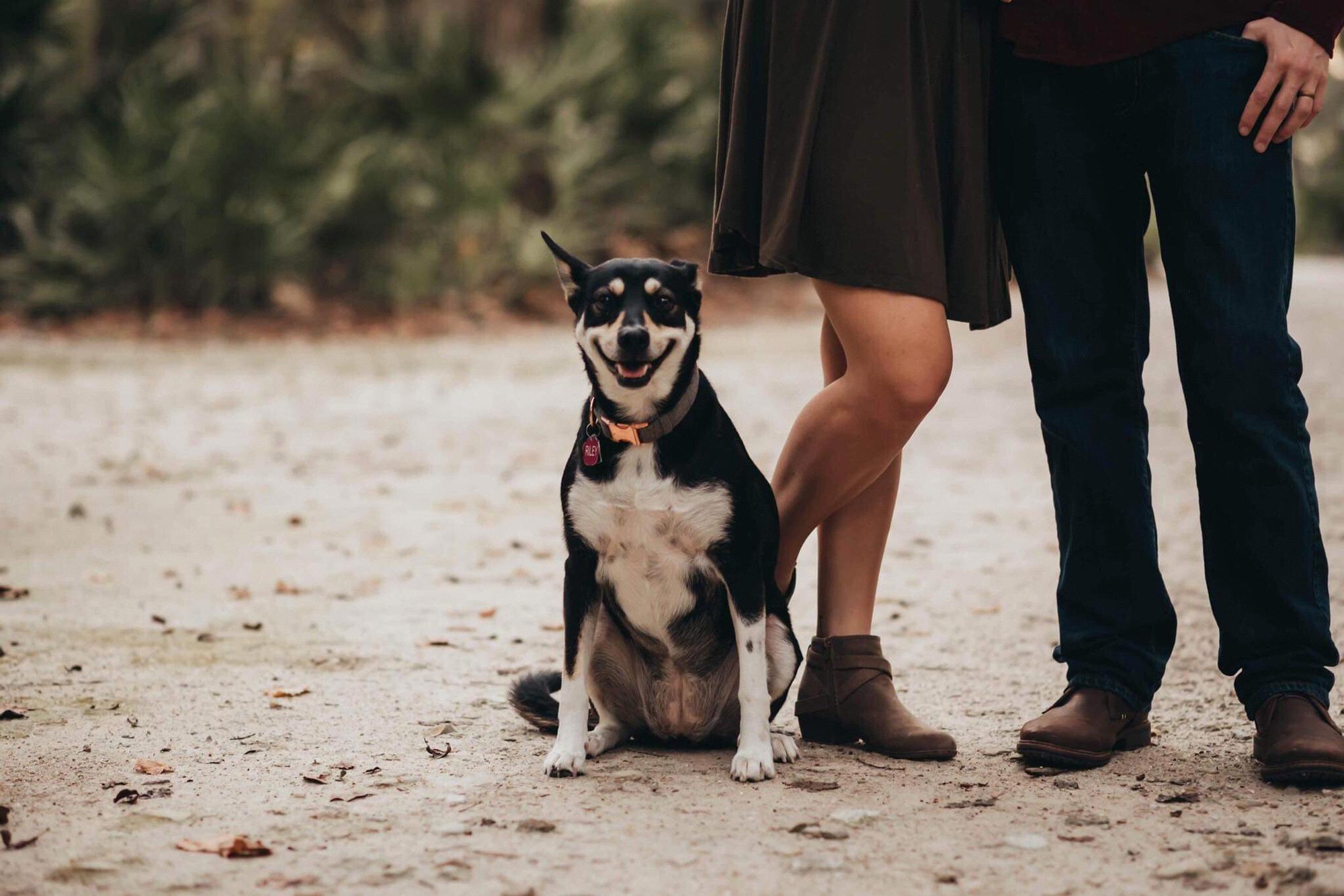 She's smiling because the photographer has her toy!