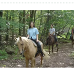 Horse Back Trail Ride