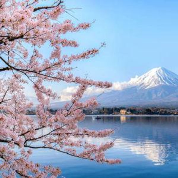 Our Japanese Hanemūn