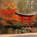 Birmingham Botanical Gardens